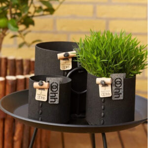 Pots de plantes