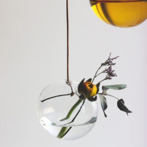 Hanging flower bubble vase transparant